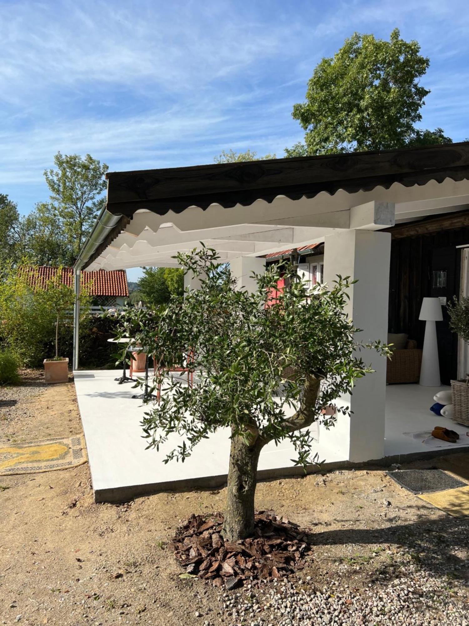 Siedlisko Blanki Apartamento Suryty Exterior foto